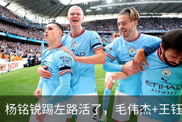 杨铭锐踢左路活了，毛伟杰+王钰栋国足未来双雄，大连3将身背3黄